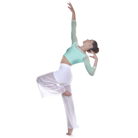 Female 3/4 Sleeved Scoop Neck Low Back Mesh Top, Frozen